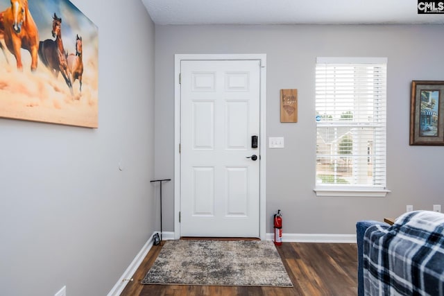 entryway with dark wood-type flooring