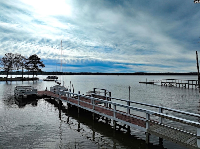 dock area with a water view