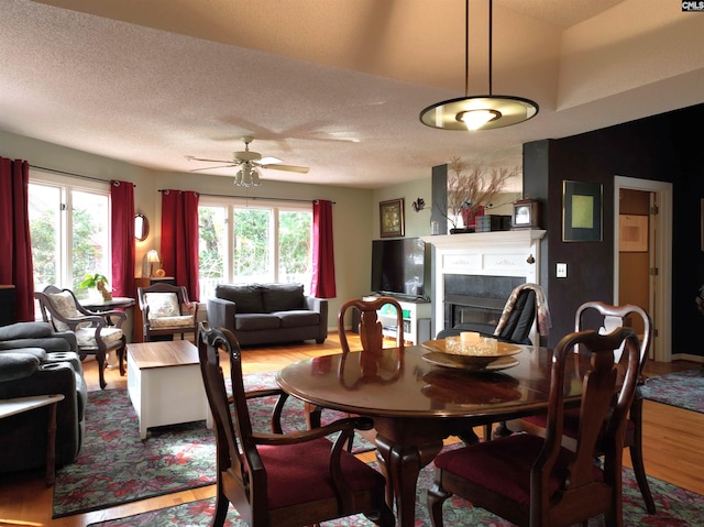 dining area featuring a textured ceiling, light hardwood / wood-style floors, a wealth of natural light, and ceiling fan