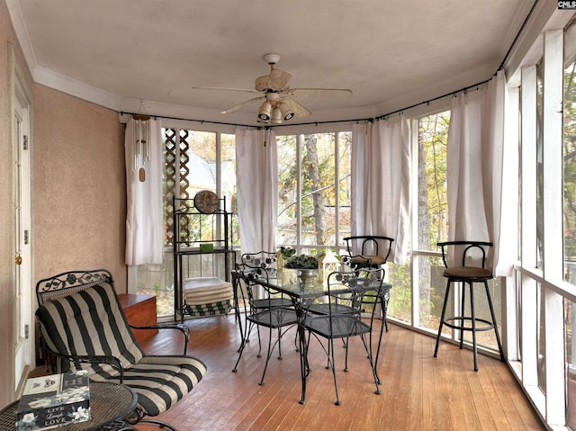 sunroom with ceiling fan