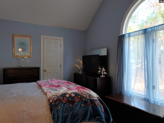 bedroom featuring vaulted ceiling