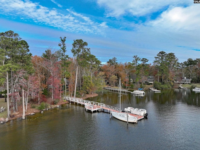 dock area featuring a water view