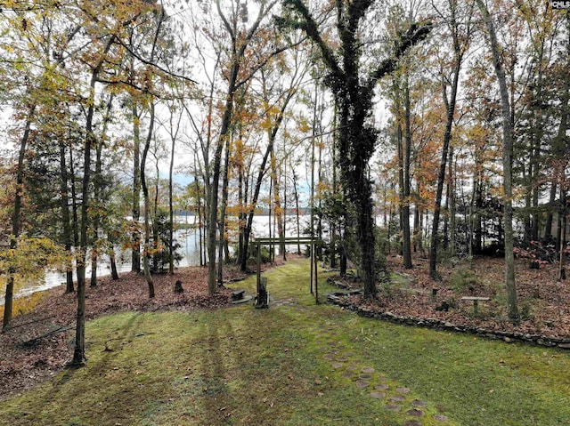 view of yard with a water view