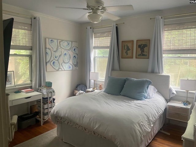 bedroom featuring ceiling fan, dark hardwood / wood-style flooring, and ornamental molding