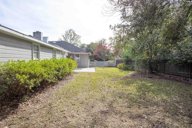 view of yard featuring a patio area