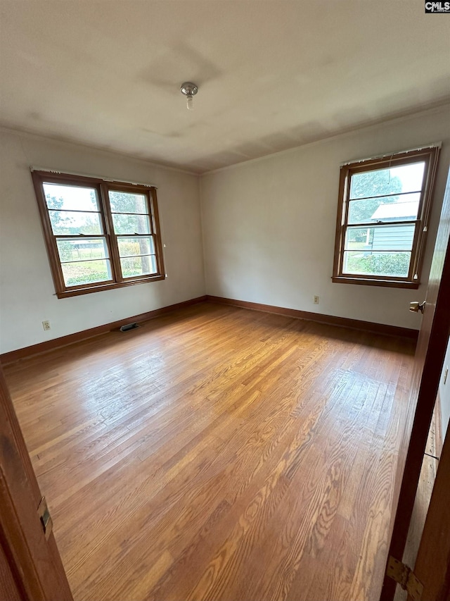 spare room with light wood-type flooring and plenty of natural light