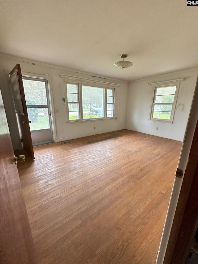 spare room featuring light hardwood / wood-style flooring and plenty of natural light