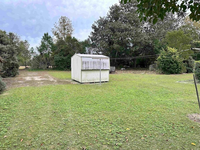 view of yard with a storage shed