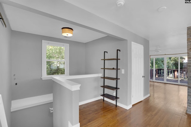 hall featuring dark hardwood / wood-style floors