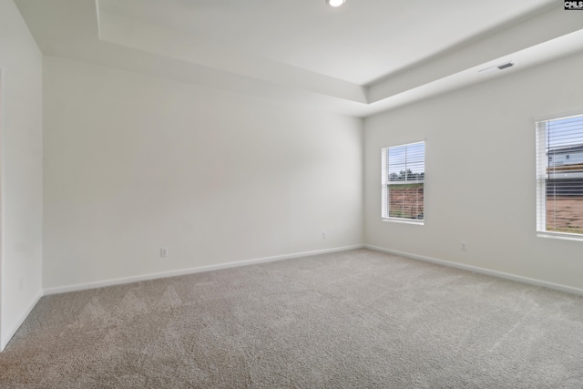 unfurnished room with carpet floors and a wealth of natural light