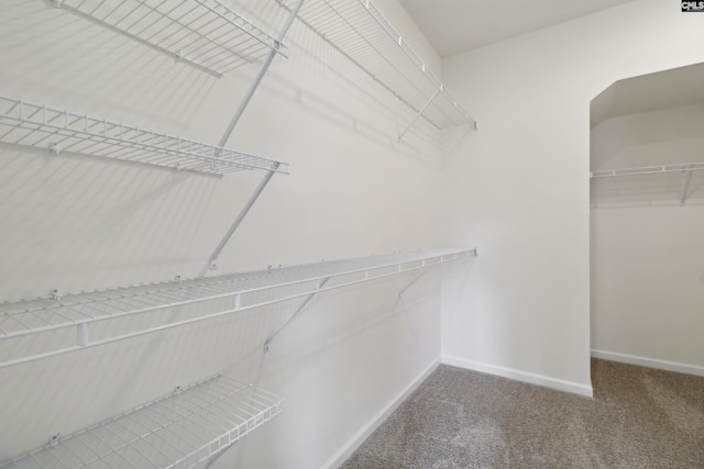 walk in closet featuring carpet flooring