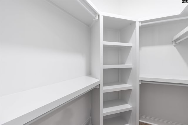 view of walk in closet