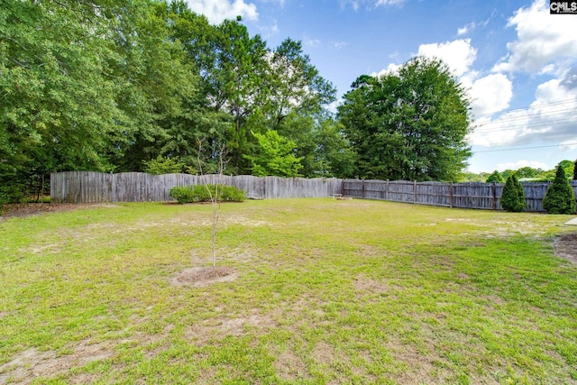 view of yard with a fenced backyard