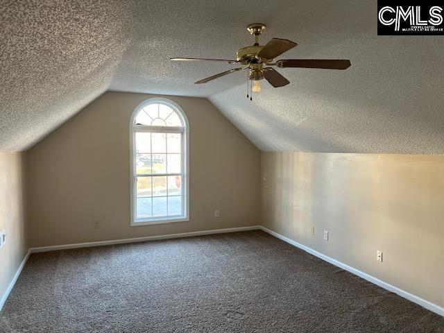 additional living space with a textured ceiling, carpet floors, vaulted ceiling, and ceiling fan