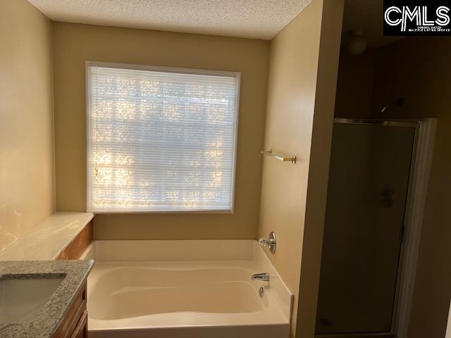 bathroom featuring vanity, a textured ceiling, and independent shower and bath