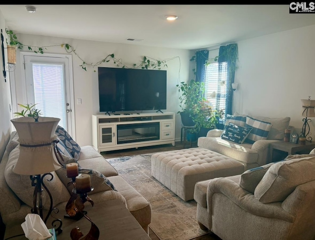 living room featuring wood-type flooring