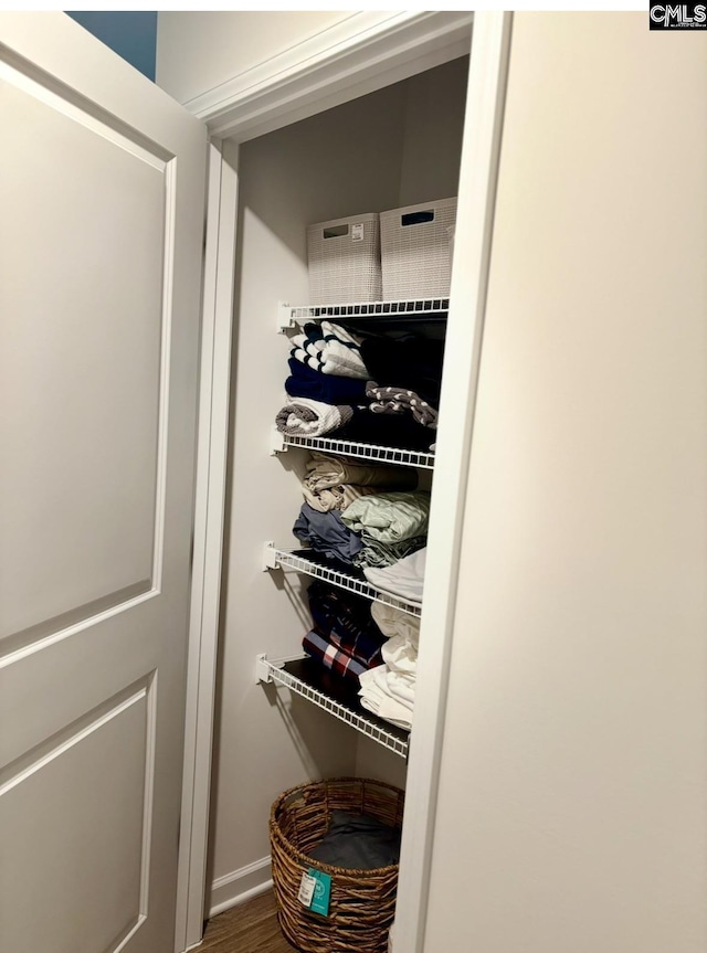 view of closet