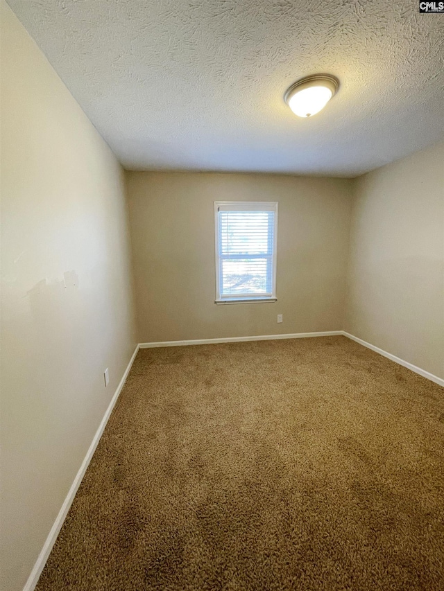 spare room featuring carpet and a textured ceiling