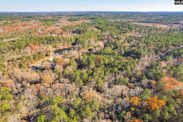 1089 Chestnut Hill Rd, Elgin, SC 29045