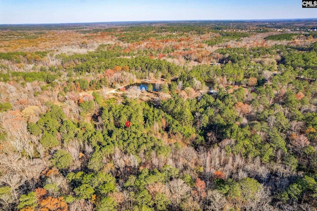 1089 Chestnut Hill Rd, Elgin, SC 29045