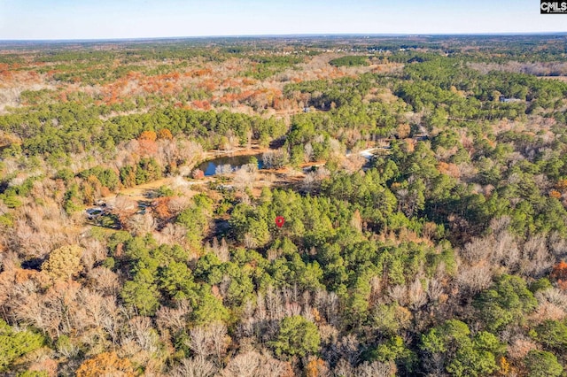 1089 Chestnut Hill Rd, Elgin, SC 29045