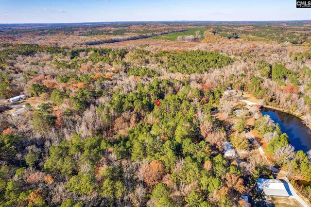1089 Chestnut Hill Rd, Elgin, SC 29045