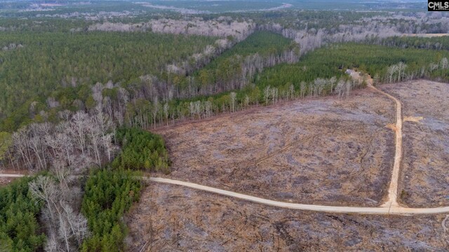 Ebb Mack Rd Lot 2, Saluda, SC 29138
