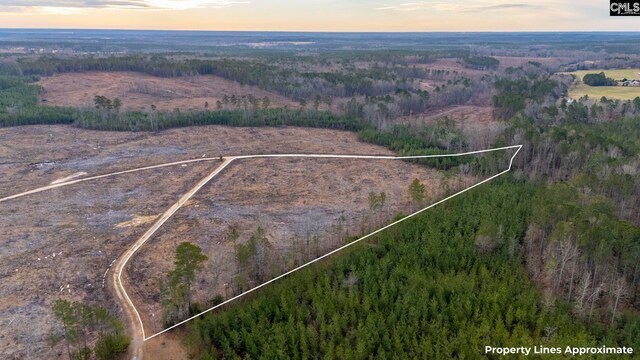 Ebb Mack Rd Lot 2, Saluda, SC 29138