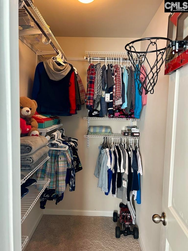 spacious closet with carpet flooring