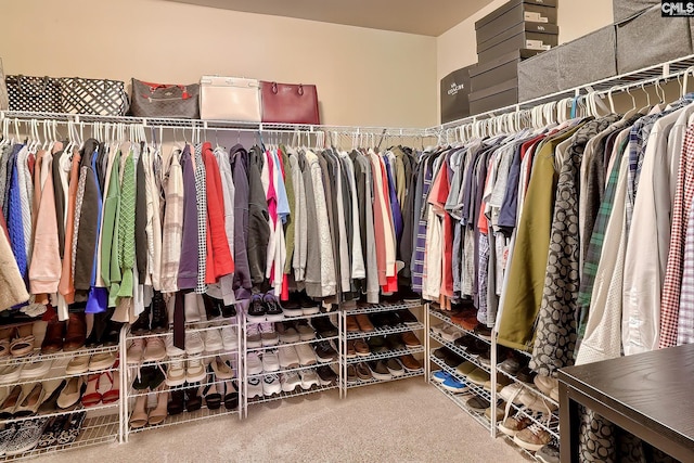 spacious closet featuring carpet flooring