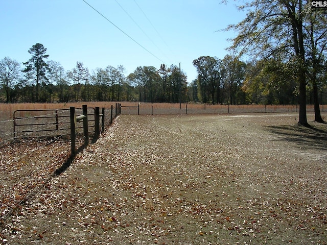 view of yard with a rural view