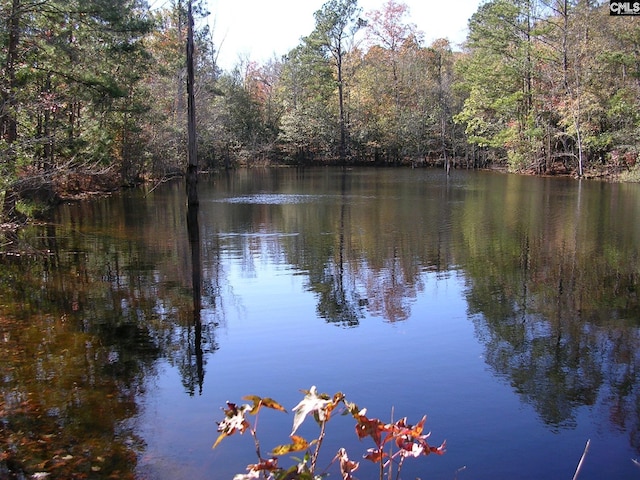 water view