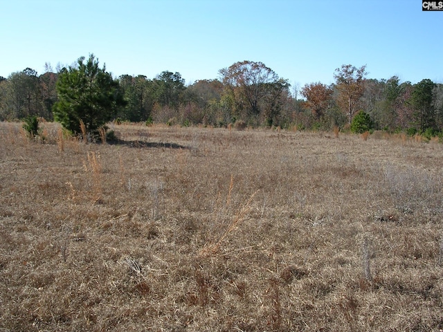 view of nature featuring a rural view