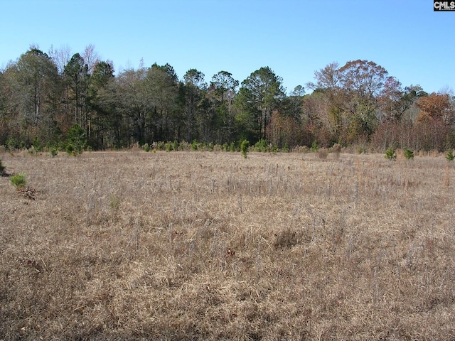 view of nature with a rural view