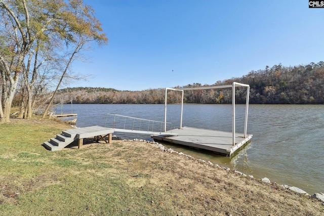 dock area featuring a water view