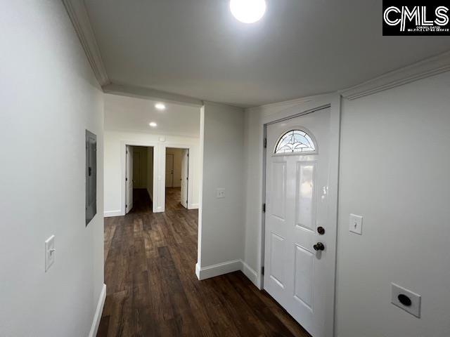 foyer entrance featuring dark hardwood / wood-style floors, ornamental molding, and electric panel