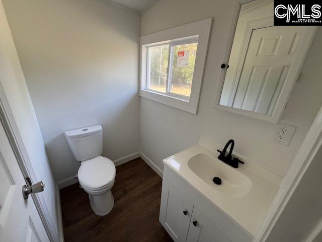 bathroom featuring wood-type flooring, vanity, and toilet