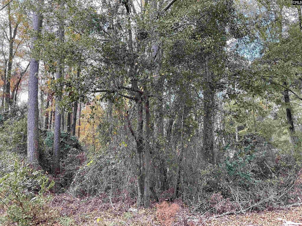 Lacey St Lot 10, Bamberg, SC 29003