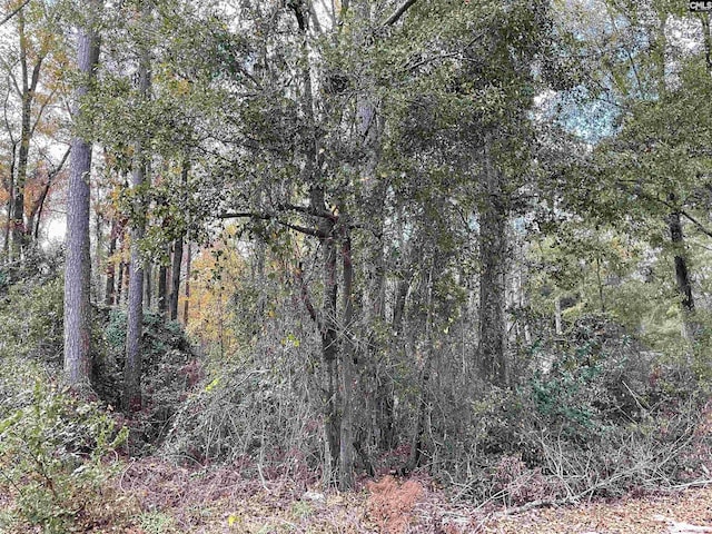 Lacey St Lot 10, Bamberg, SC 29003