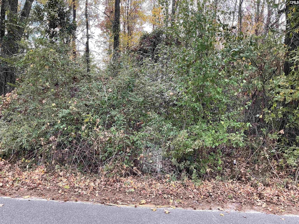 Lacey St Lot 10, Bamberg, SC 29003