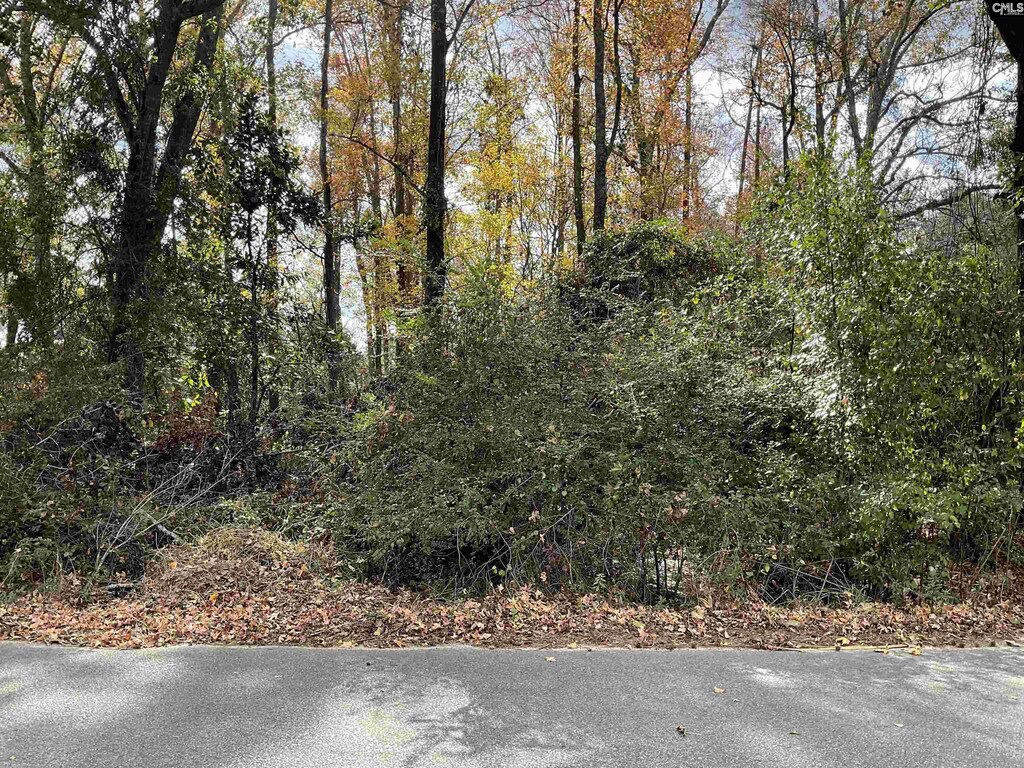 Lacey St Lot 10, Bamberg, SC 29003