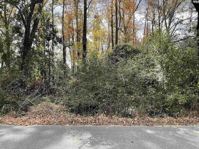 Lacey St Lot 10, Bamberg, SC 29003