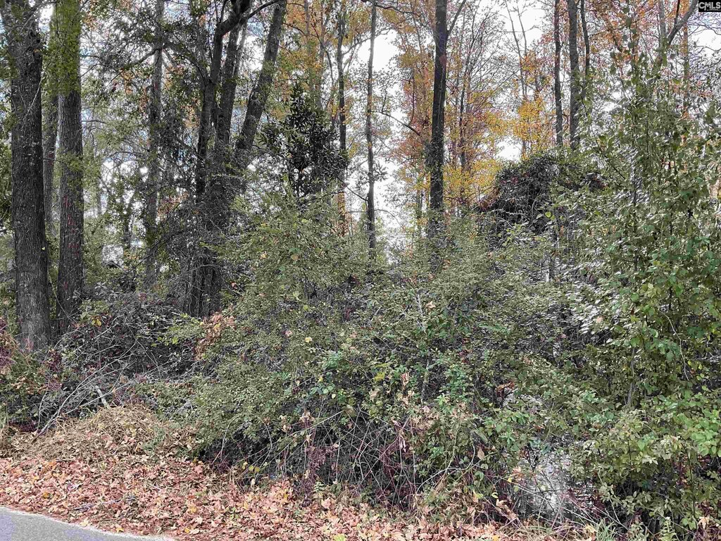 Lacey St Lot 10, Bamberg, SC 29003