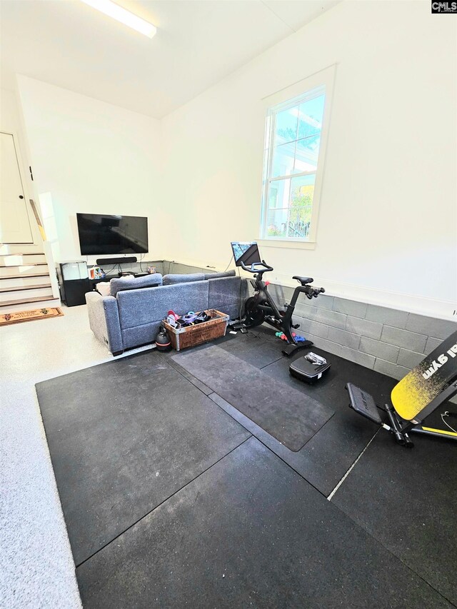 235 Clayborn Dr, Lexington, SC 29072 - view of exercise area
