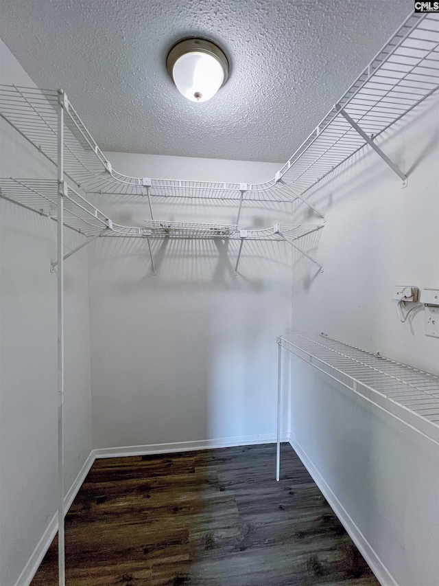 spacious closet featuring dark wood-type flooring