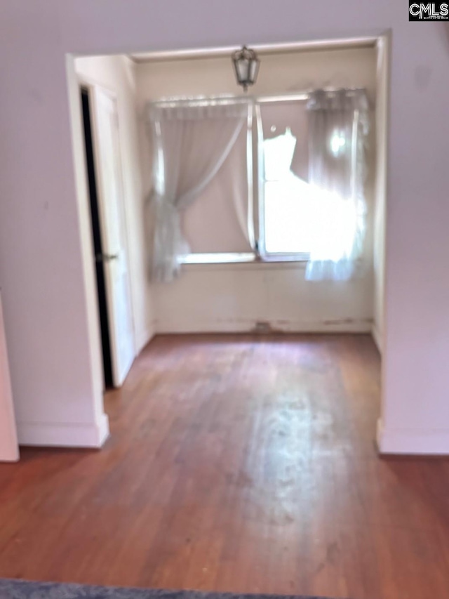 unfurnished room with wood-type flooring