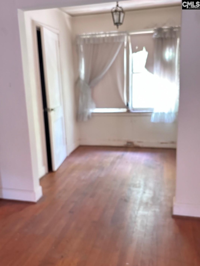 interior space featuring wood-type flooring