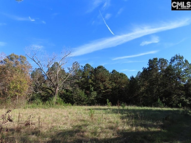 Listing photo 3 for 0 Jefferson Rd, Newberry SC 29108