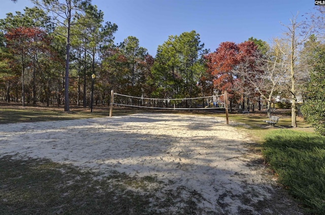 view of home's community with volleyball court