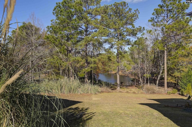 view of yard featuring a water view